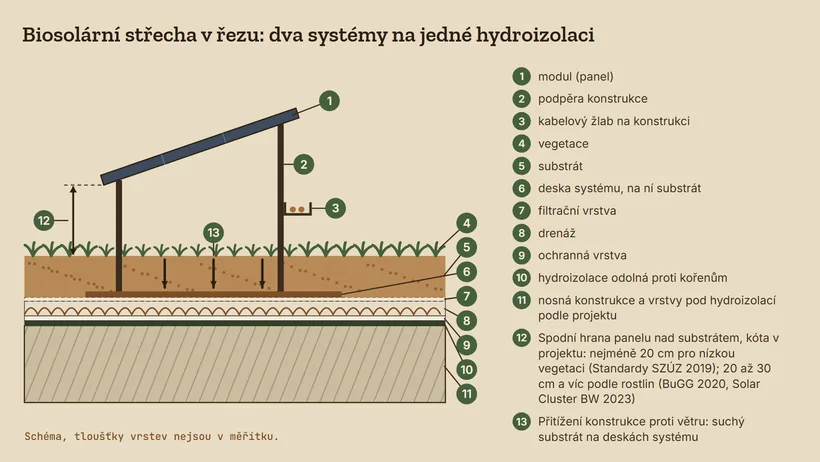 Řez biosolární střechou od nosné konstrukce po fotovoltaický panel: hydroizolace odolná proti kořenům, ochranná vrstva, drenáž, filtrační vrstva, deska systému pod substrátem, vegetace, podpěry s kabelovým žlabem a kóta výšky panelu nad substrátem